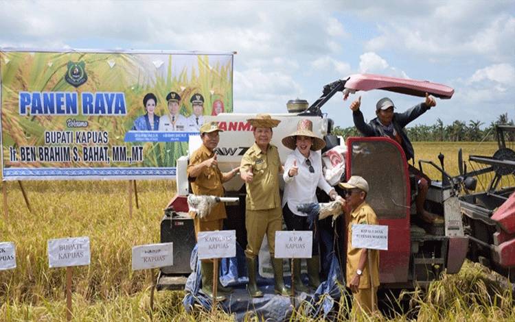 Bupati Kapuas Apresiasi Panen Raya di Desa Terusan Makmur