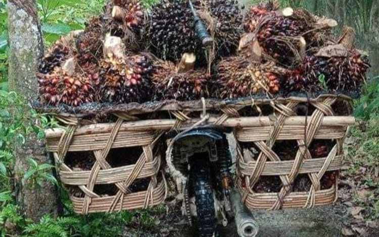SSMS: Reward Karyawan Berprestasi Diberikan untuk Dorong Suasana Kerja yang Kompetitif