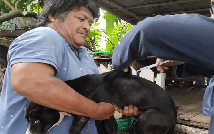 DPKP Sebut Permintaan Masyarakat Palangka Raya untuk Vaksin Rabies Cukup Tinggi