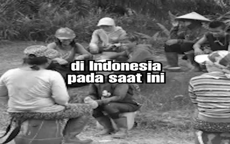 Peneliti Ekonomi Sawit: Manfaat Ekonomi Atas Kelapa Sawit Harus Dirasakan Rakyat