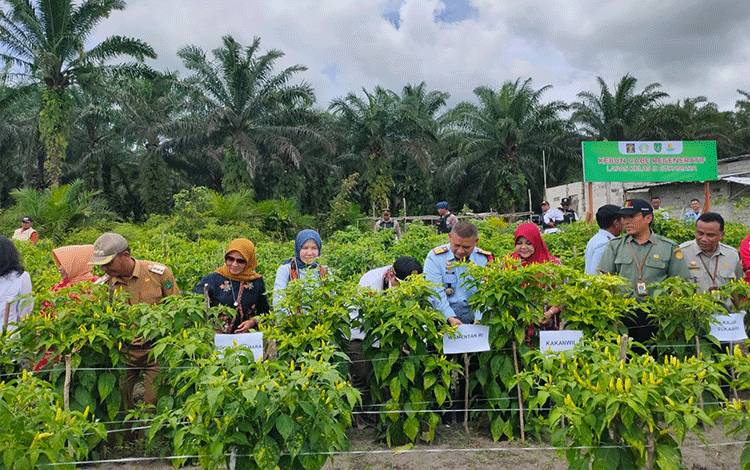 Kedatangan Wamentan Pendorong Semangat Kembangkan Ketahanan Pangan di Sukamara