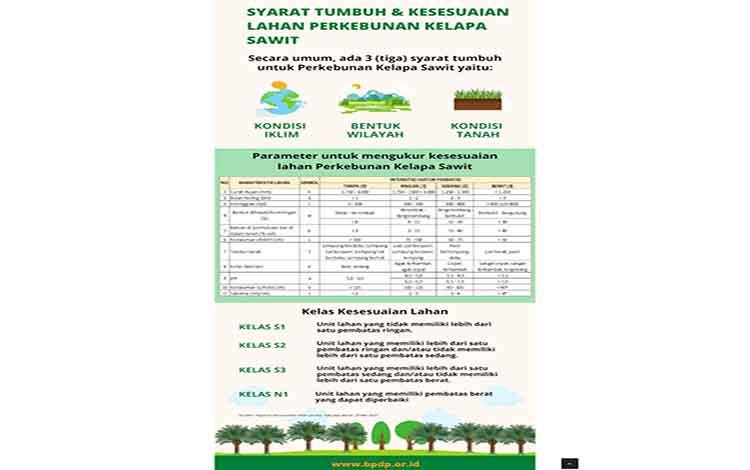 Kementan Targetkan Program Peremajaan Sawit Rakyat Hingga 180 Ribu Hektare per Tahun