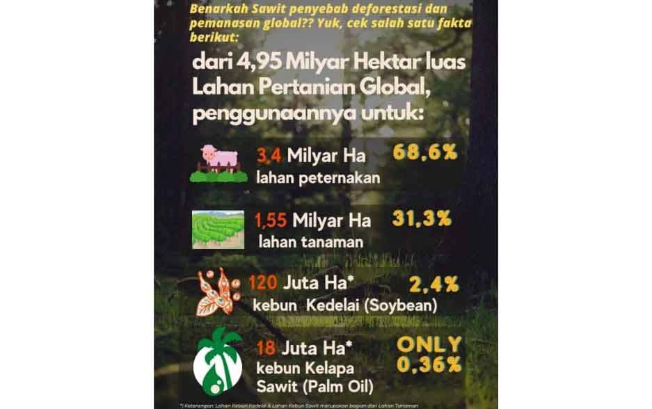 Ini Kontribusi Kelapa Sawit untuk Rakyat