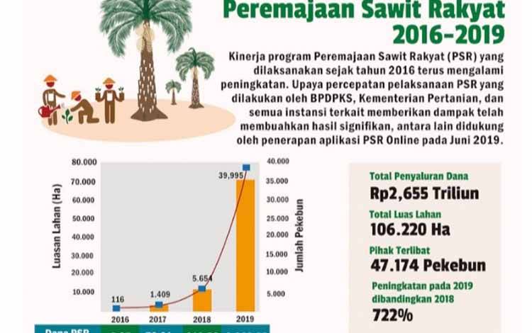 BPDPKS: Realisasi Subsidi Program PSR Lima Tahun Belakangan Sangat Rendah