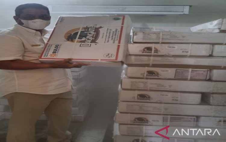 100 Ribu Ton Daging Kerbau Impor Tiba Akhir Maret 2023