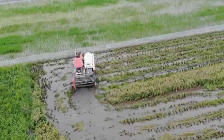 Pemprov Kalteng Klaim Makro Pembangunan Kalteng Meningkat