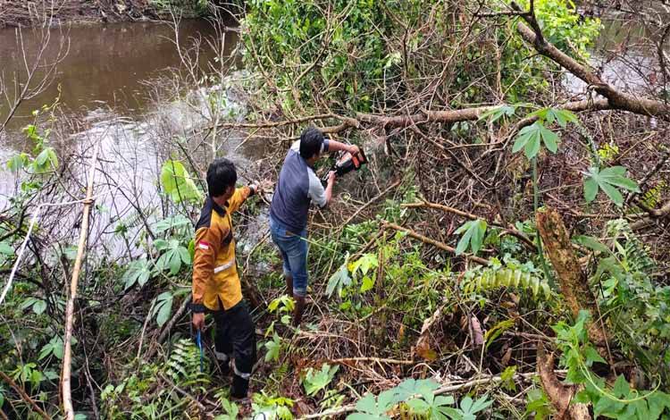 Tutupi Pengaringan, Tim Pandulima Sigap Petong Pohon Tumbang
