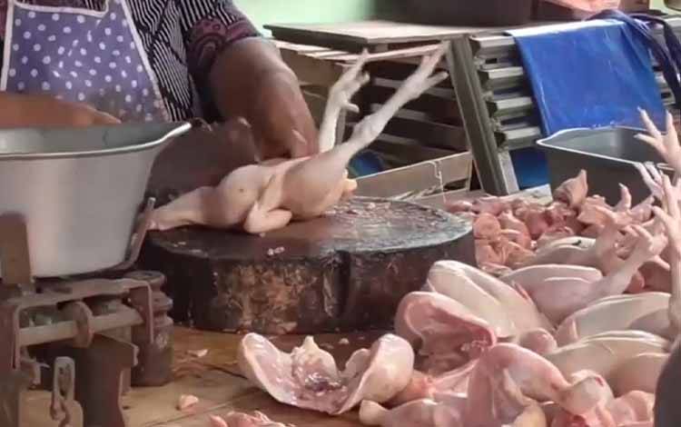 Kepala UPTD Puskeswan Ingatkan Jeli Megolah Produk Hewan Unggas?