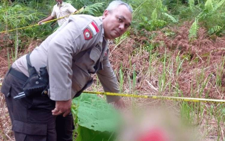 Polisi Selidiki Penemuan Potongan Mayat Bayi