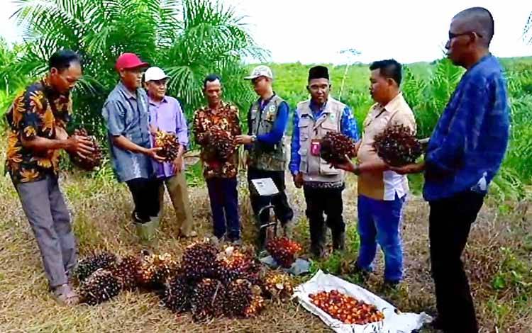 BPDPKS Upayakan Pengembangan Kemitraan di Kalsel