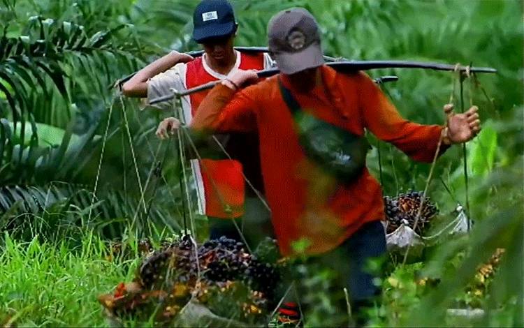 Kemenperin Upayakan Devisa dari Sektor Kelapa Sawit Bertahan