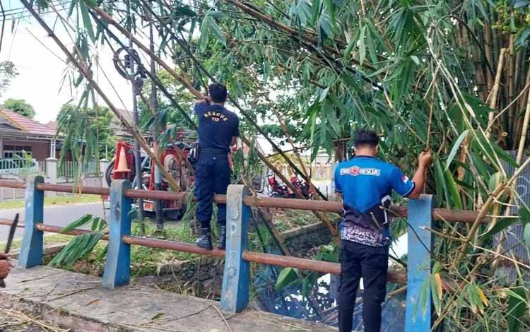 Pohon Miring Arah Jalan, Langsung Dieksekusi Tim 112