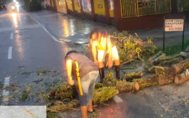 Tim TRC BPBD Kota Palangka Raya saat melakukan pemotongan pohon yang tumbang di tengah jalan. (FOTO: BPBD KOTA PALANGKA RAYA)