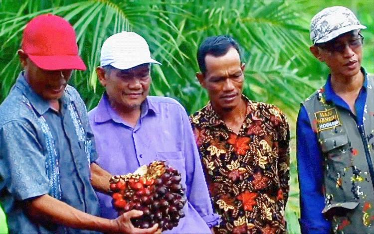 BPDPKS Sebut Banyak Produk Bisa Dihasilkan dari Limbah PKS