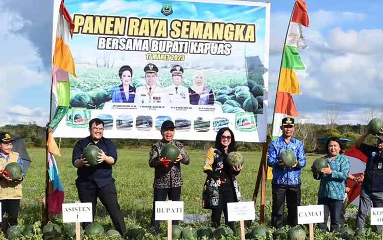 Budi Daya Semangka di Desa Manyahi Bisa Jadi Contoh