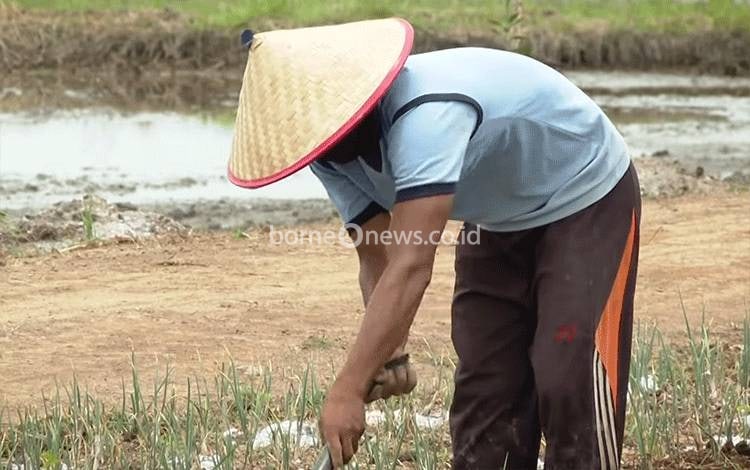 Nuryakin: Kalteng Urutan ke 5 Angka Kemiskinan Terendah Nasional