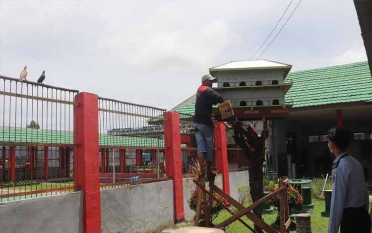 WBP Rutan Kapuas Bangun Rumah Burung Dara dari Limbah Kayu Bekas?