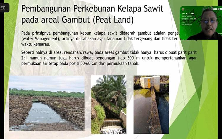 Topografi Dengan Penanganan Konservasi yang Berbeda untuk Tanam Kelapa Sawit