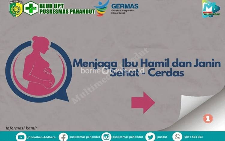 Enam Tips Menjaga Kesehatan Ibu Hamil dan Kecerdasan Janin