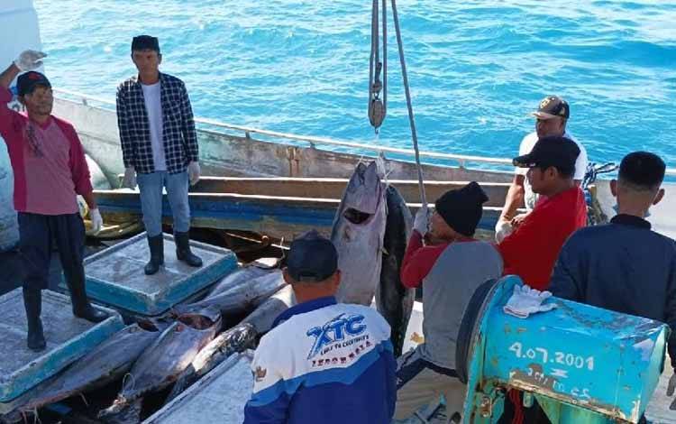 Ekspor Ikan Tuna Segar Biak ke Jepang Capai Tujuh Ton