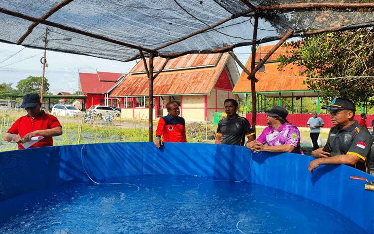 Sekda Sukamara Tinjau Lokasi Kegiatan Peda KTNA XIII Tingkat Provinsi Kalteng?