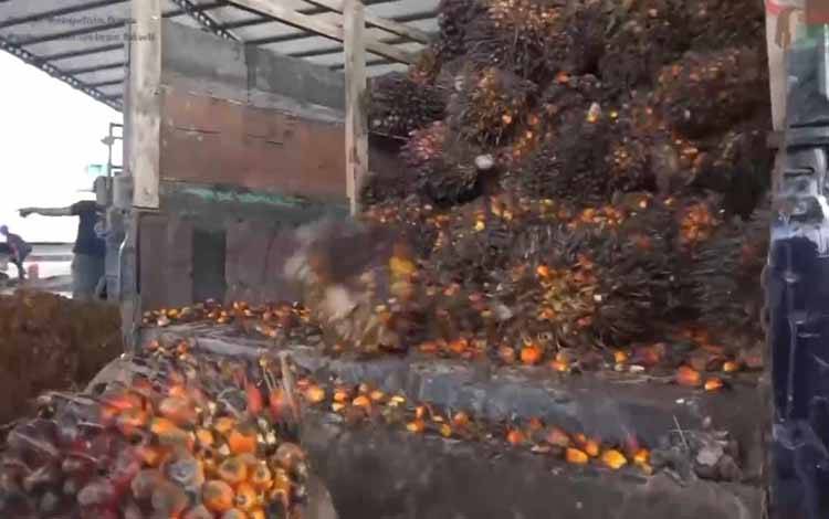 Regulasi Minyak Goreng Sawit Diminta Fokus pada Volume Industri