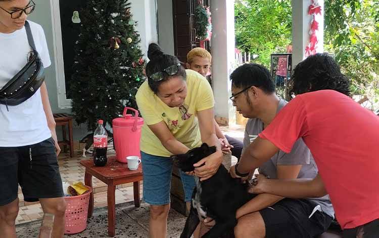 DPKP Minta Masyarakat Waspada Rabies Pada Musim Kawin Anjing Bulan Mei