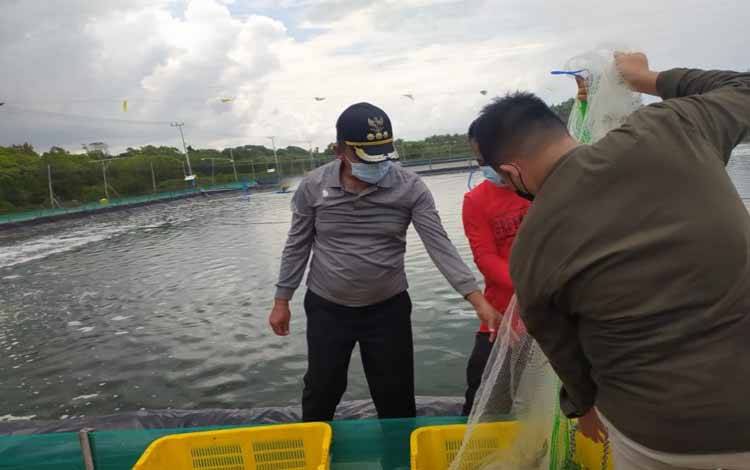 Bupati Harapan Pelaksanaan Program Shrimp Estate Berdayakan Masyarakat Lokal??