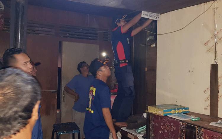 Call Center 112 Palangka Raya Evakuasi Tawon di Plafon Rumah Warga