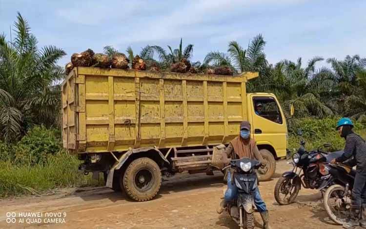 Produksi Minyak Kelapa Sawit SSMS Tercatat Meningkat