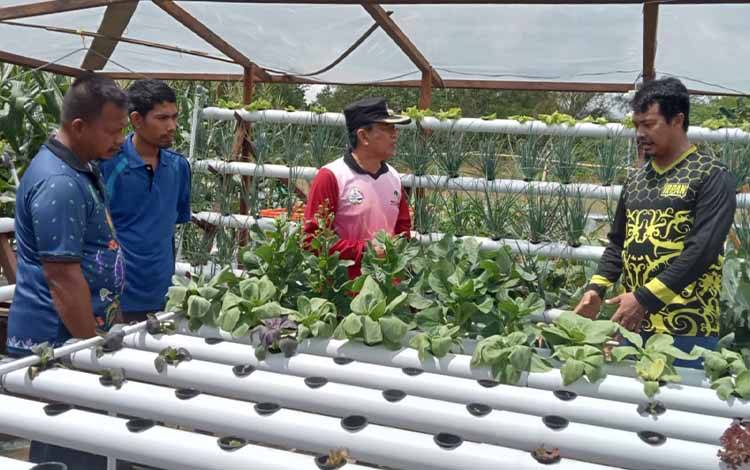 Wabup Sukamara: Sayur dan Buah Persiapan KTNA XIII Provinsi Kalteng Bisa Bertahan Dalam 2 Minggu?