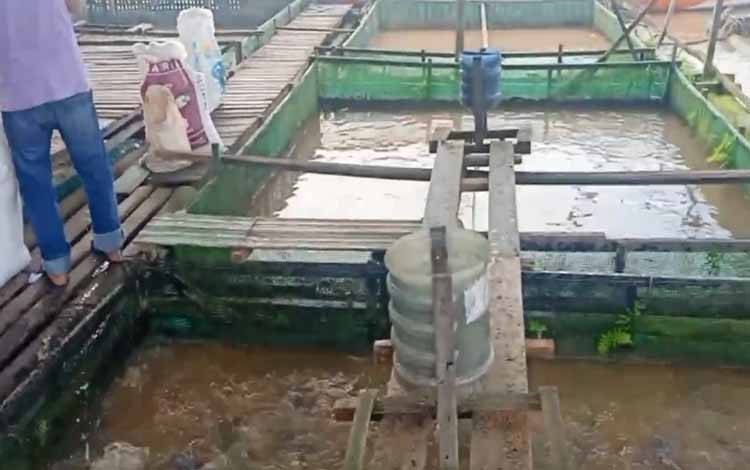 Program IFish Emban Misi Konservasi Hayati Perikanan
