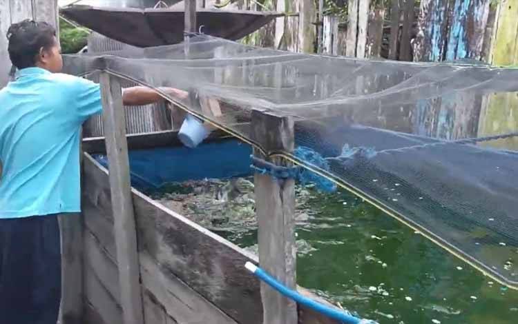 Ini Progres Program IFish Kalteng