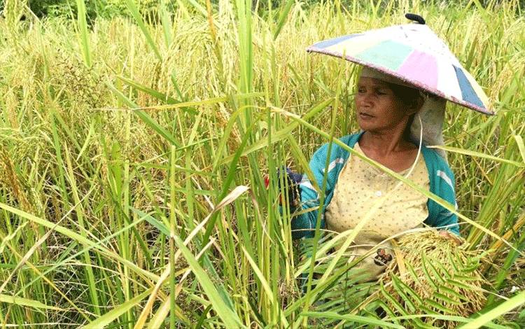 Asa Hutan Kalimantan, Menjaga Air Susu Ibu