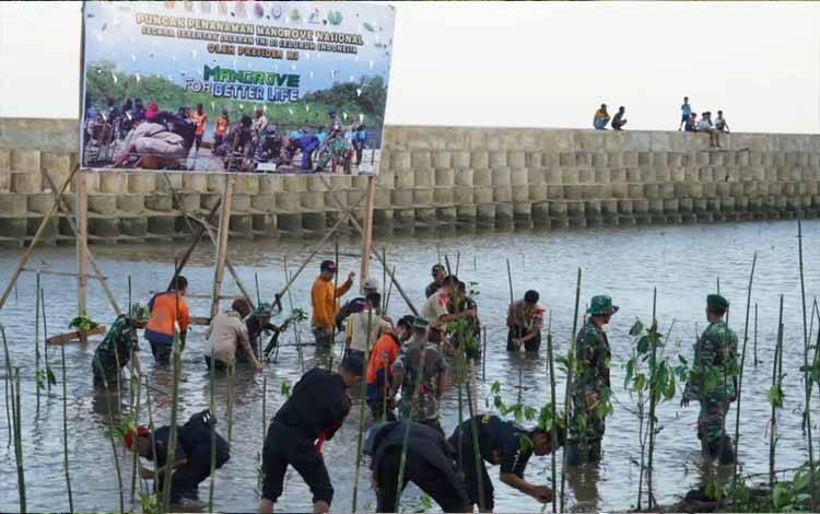 Penanaman Mangrove di Teluk Sampit untuk Menjaga Ekosistem Perairan Laut
