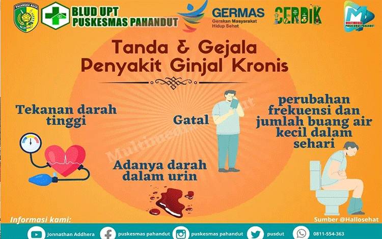 Kenali Tanda Penyakit Ginjal Kronis