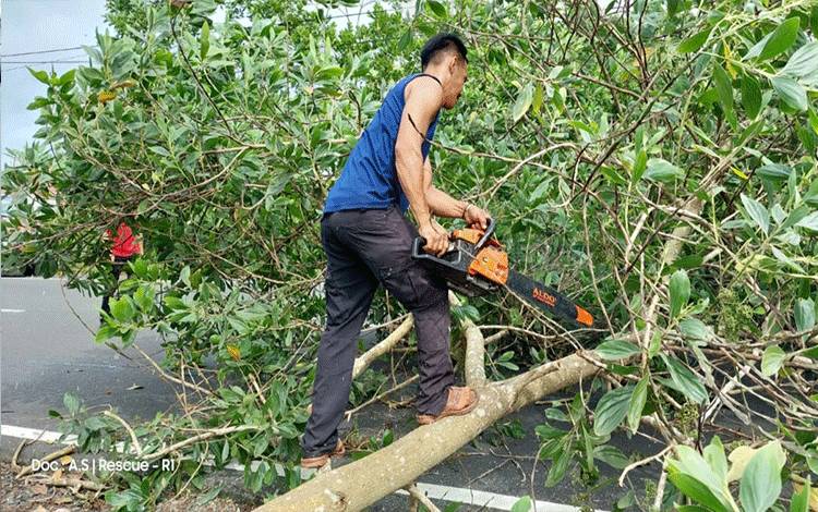 Call Center 112 Pangkas Pohon Tumbang Kenai Kabel Telepon