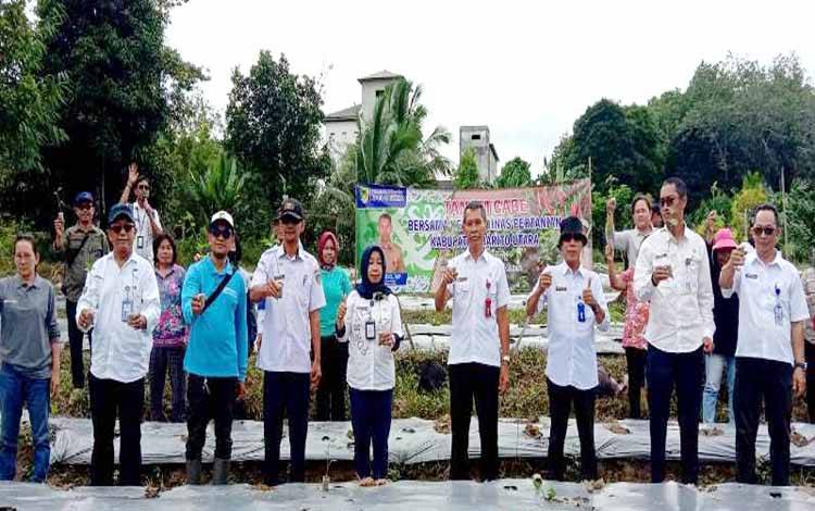 Dinas Pertanian Barut dan Poktan Hortikultura Trinsing Tanam 4.500 Bibit Cabai Rawit