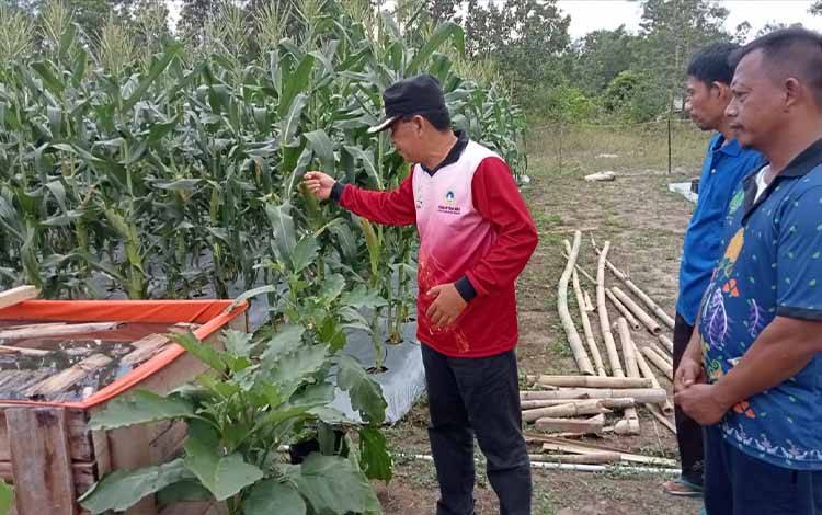 PEDA KTNA Provinsi Kalteng Kembali Dijadwalkan Setelah Penas?