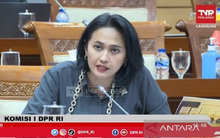 Anggota DPR Minta Kemenlu Beri Perhatian Maraknya Wisman Kerja di Bali