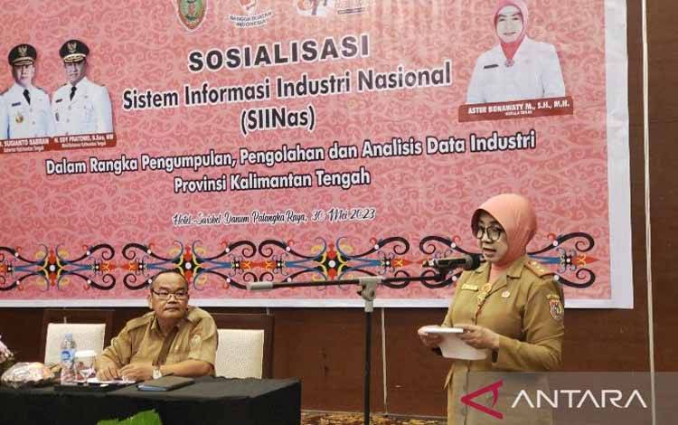 Kalteng Targetkan 1.000 Pelaku Industri Terakomodir SIINas pada 2023