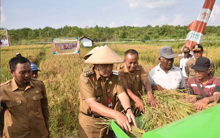 Pj Bupati Kobar Apresiasi Petani Semangat Majukan Sektor Pertanian