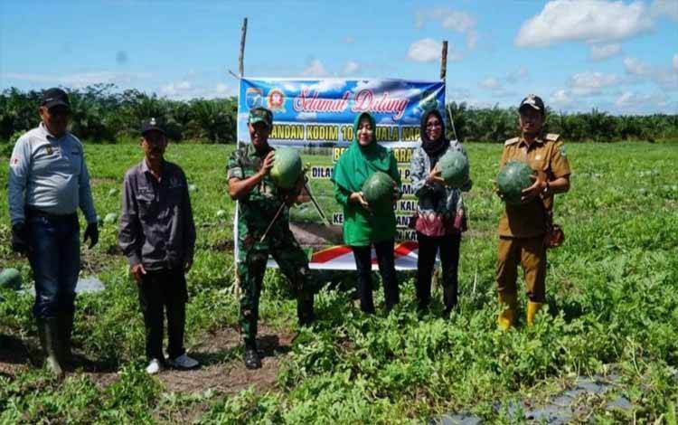 Dandim Kuala Kapuas Hadiri Panen Raya Semangka di Desa Keladan