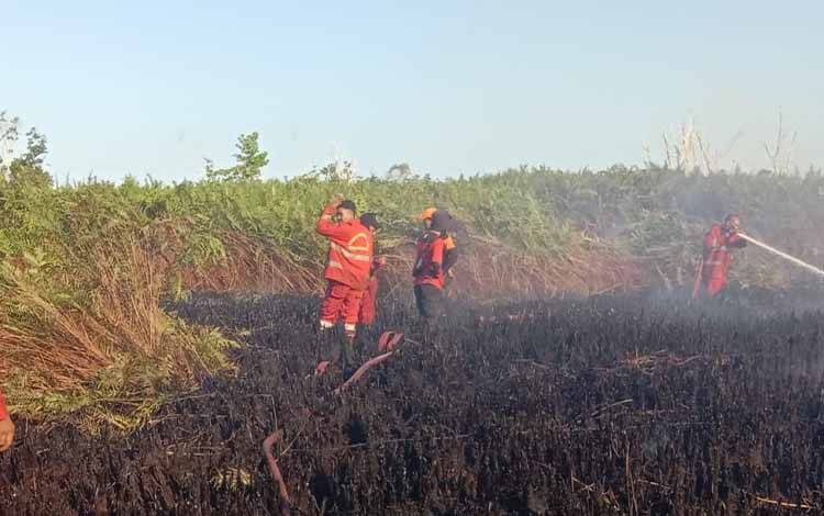 BPBPK Kalteng Instruksikan Kabupaten Segera Tetapkan Status Tanggap Darurat Karhutla ?