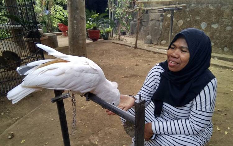 Jumlah Spesies Burung Indonesia Bertambah Menjadi 1.826