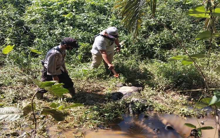 Warga Desa Pemantang Ditemukan Tewas di Parit