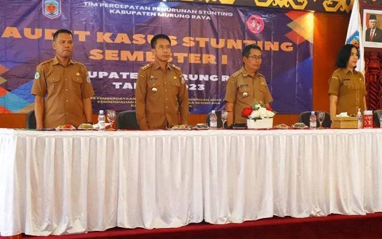 Audit Stunting Kegiatan Mengidentifikasi Kekerdilan