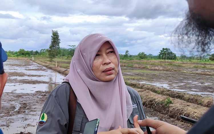 DLH Kalteng Catat Pentingnya Hidrologi dalam Pengelolaan Lahan Gambut