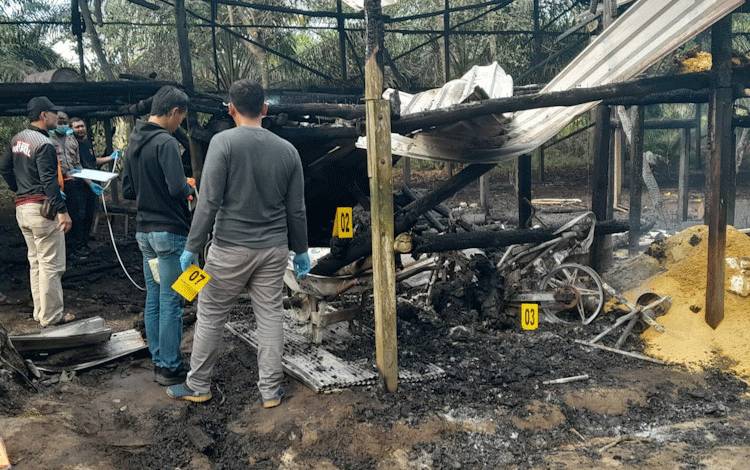 Rumah dan Kandang Ayam Terbakar di Kobar, 3 Penghuni Meninggal 1 Balita Menderita Luka Bakar