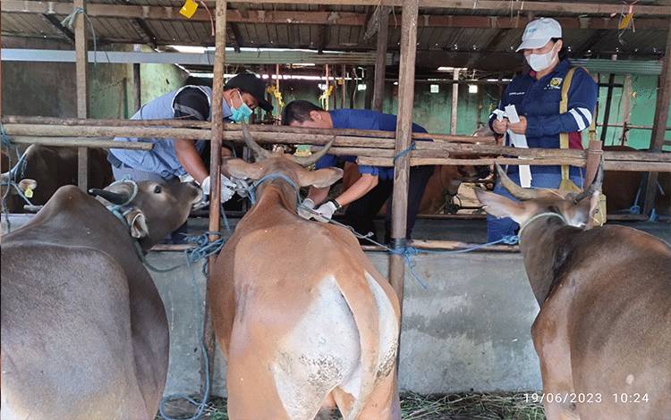 Ketua DPRD Sebut Hewan Kurban Harus Dipastikan Layak dan Sehat
